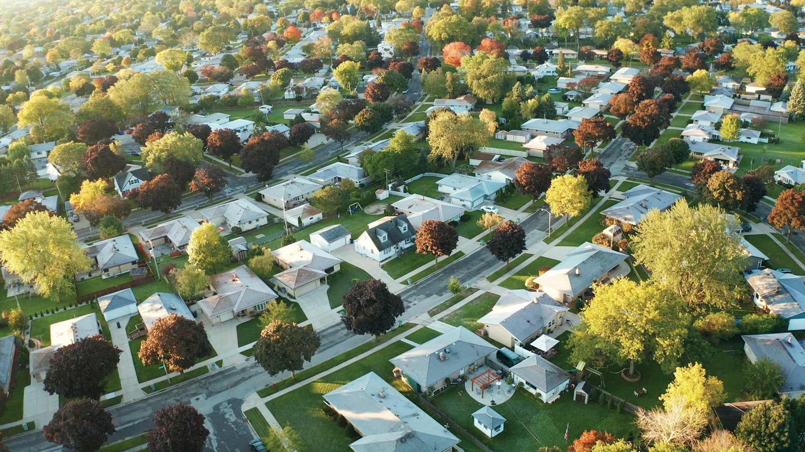 Who Is Responsible For Trees On Easement