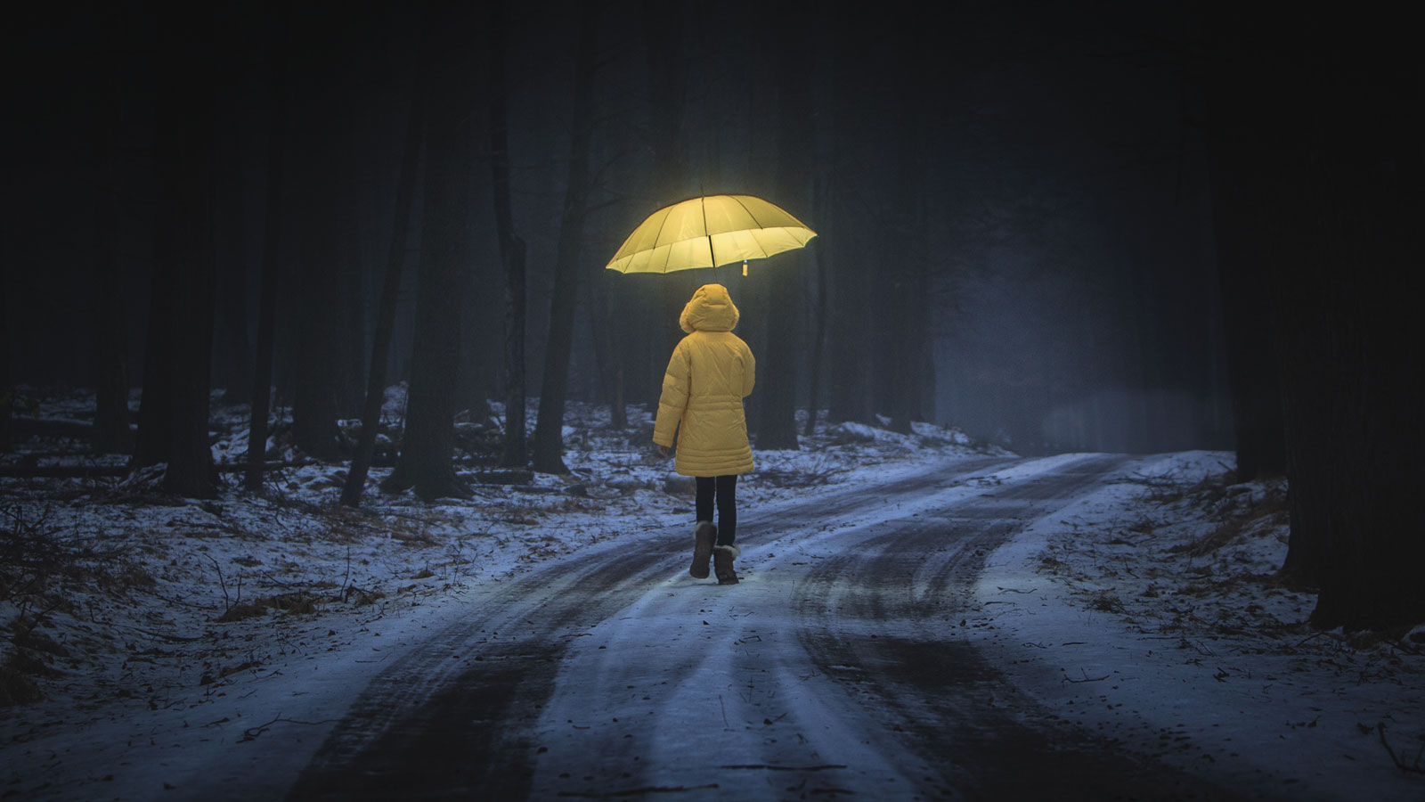 Insurance Adjuster Liability in Bad Faith Claims Colorado Lawyer