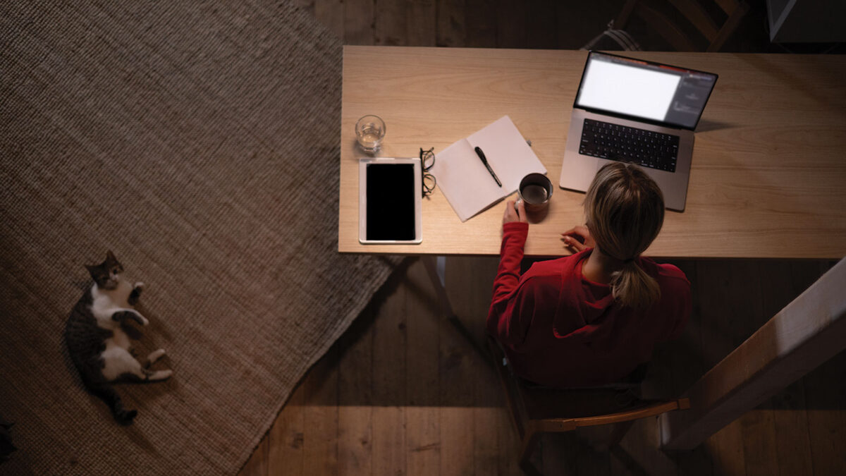 Person working from home on laptop from above with cat laying on floor