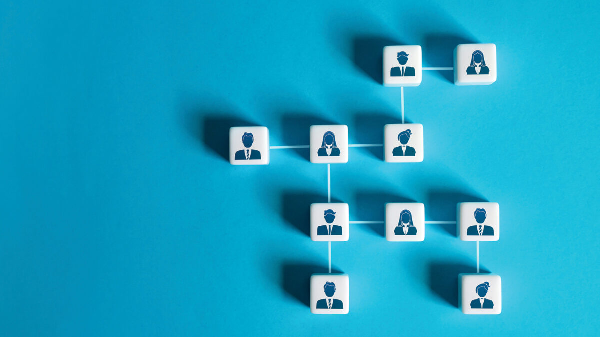 Business team hierarchy